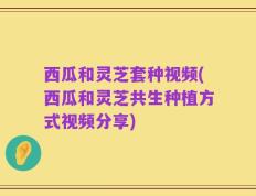 西瓜和灵芝套种视频(西瓜和灵芝共生种植方式视频分享)