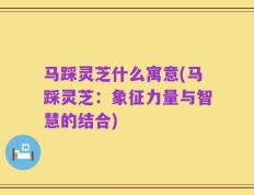 马踩灵芝什么寓意(马踩灵芝：象征力量与智慧的结合)