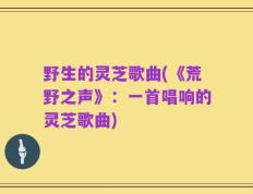野生的灵芝歌曲(《荒野之声》：一首唱响的灵芝歌曲)