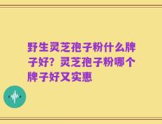 野生灵芝孢子粉什么牌子好？灵芝孢子粉哪个牌子好又实惠