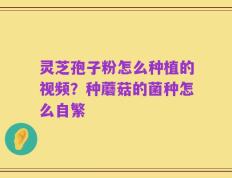 灵芝孢子粉怎么种植的视频？种蘑菇的菌种怎么自繁