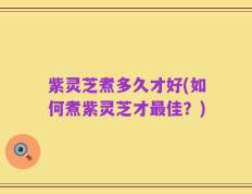 紫灵芝煮多久才好(如何煮紫灵芝才最佳？)