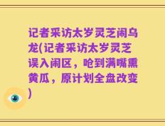 记者采访太岁灵芝闹乌龙(记者采访太岁灵芝误入闹区，呛到满嘴熏黄瓜，原计划全盘改变)