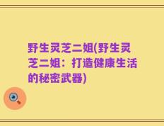 野生灵芝二姐(野生灵芝二姐：打造健康生活的秘密武器)