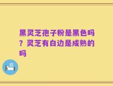 黑灵芝孢子粉是黑色吗？灵芝有白边是成熟的吗
