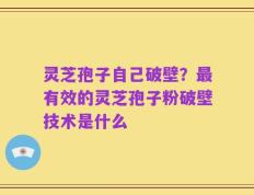 灵芝孢子自己破壁？最有效的灵芝孢子粉破壁技术是什么