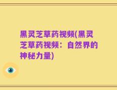 黑灵芝草药视频(黑灵芝草药视频：自然界的神秘力量)