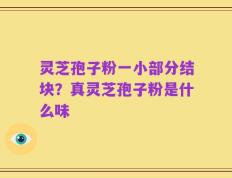灵芝孢子粉一小部分结块？真灵芝孢子粉是什么味