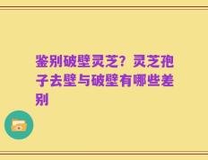 鉴别破壁灵芝？灵芝孢子去壁与破壁有哪些差别