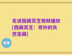 走进西藏灵芝视频播放(西藏灵芝：奇妙的天然宝藏)