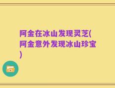阿金在冰山发现灵芝(阿金意外发现冰山珍宝)