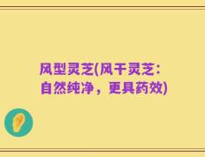 风型灵芝(风干灵芝：自然纯净，更具药效)