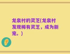龙泉村的灵芝(龙泉村发现稀有灵芝，成为新宠。)