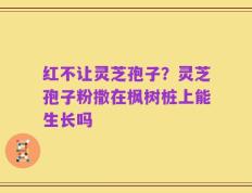 红不让灵芝孢子？灵芝孢子粉撒在枫树桩上能生长吗