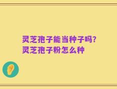灵芝孢子能当种子吗？灵芝孢子粉怎么种