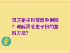 灵芝孢子粉薄层鉴别图？详解灵芝孢子粉的鉴别方法？