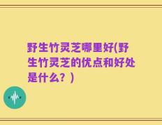 野生竹灵芝哪里好(野生竹灵芝的优点和好处是什么？)