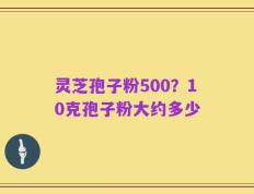 灵芝孢子粉500？10克孢子粉大约多少
