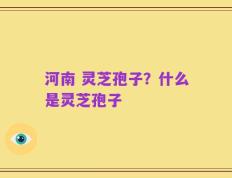 河南 灵芝孢子？什么是灵芝孢子
