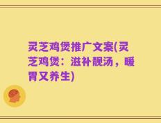 灵芝鸡煲推广文案(灵芝鸡煲：滋补靓汤，暖胃又养生)