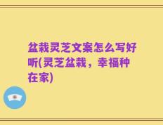 盆栽灵芝文案怎么写好听(灵芝盆栽，幸福种在家)