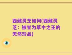 西藏灵芝如何(西藏灵芝：被誉为草中之王的天然珍品)