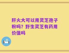 肝火大可以用灵芝孢子粉吗？野生灵芝有药用价值吗
