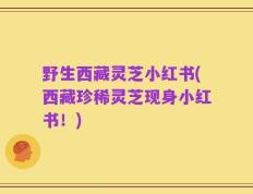 野生西藏灵芝小红书(西藏珍稀灵芝现身小红书！)