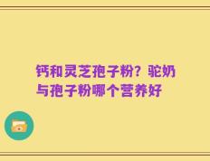 钙和灵芝孢子粉？驼奶与孢子粉哪个营养好