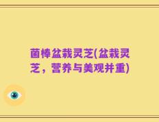 菌棒盆栽灵芝(盆栽灵芝，营养与美观并重)
