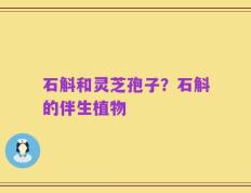 石斛和灵芝孢子？石斛的伴生植物