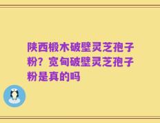 陕西椴木破壁灵芝孢子粉？宽甸破壁灵芝孢子粉是真的吗
