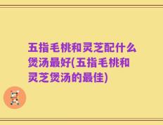 五指毛桃和灵芝配什么煲汤最好(五指毛桃和灵芝煲汤的最佳)