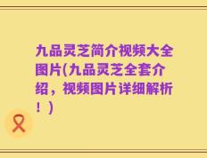 九品灵芝简介视频大全图片(九品灵芝全套介绍，视频图片详细解析！)