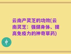 云南产灵芝的功效(云南灵芝：强健身体、提高免疫力的神奇草药)