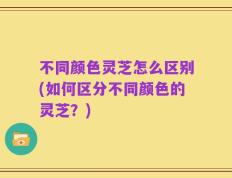 不同颜色灵芝怎么区别(如何区分不同颜色的灵芝？)