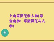 上山采灵芝和人参(寻宝山林：采掘灵芝与人参)