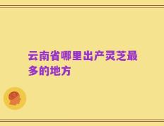 云南省哪里出产灵芝最多的地方