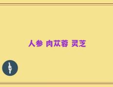 人参 肉苁蓉 灵芝