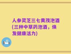 人参灵芝三七黄茂泡酒(三种中草药泡酒，焕发健康活力)