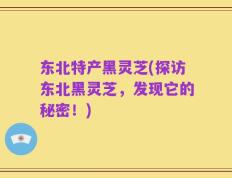 东北特产黑灵芝(探访东北黑灵芝，发现它的秘密！)