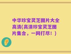 中华珍宝灵芝图片大全高清(高清珍宝灵芝图片集合，一网打尽！)