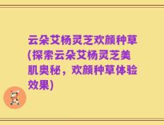 云朵艾杨灵芝欢颜种草(探索云朵艾杨灵芝美肌奥秘，欢颜种草体验效果)