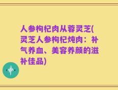 人参枸杞肉从蓉灵芝(灵芝人参枸杞炖肉：补气养血、美容养颜的滋补佳品)