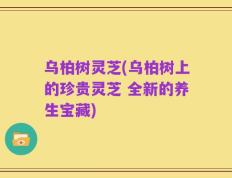 乌柏树灵芝(乌柏树上的珍贵灵芝 全新的养生宝藏)