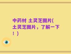中药材 土灵芝图片(土灵芝图片，了解一下！)