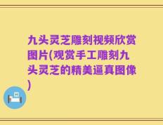 九头灵芝雕刻视频欣赏图片(观赏手工雕刻九头灵芝的精美逼真图像)