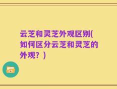 云芝和灵芝外观区别(如何区分云芝和灵芝的外观？)