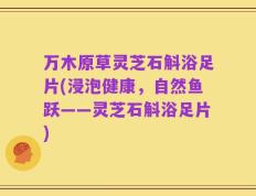 万木原草灵芝石斛浴足片(浸泡健康，自然鱼跃——灵芝石斛浴足片)