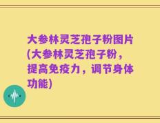 大参林灵芝孢子粉图片(大参林灵芝孢子粉，提高免疫力，调节身体功能)